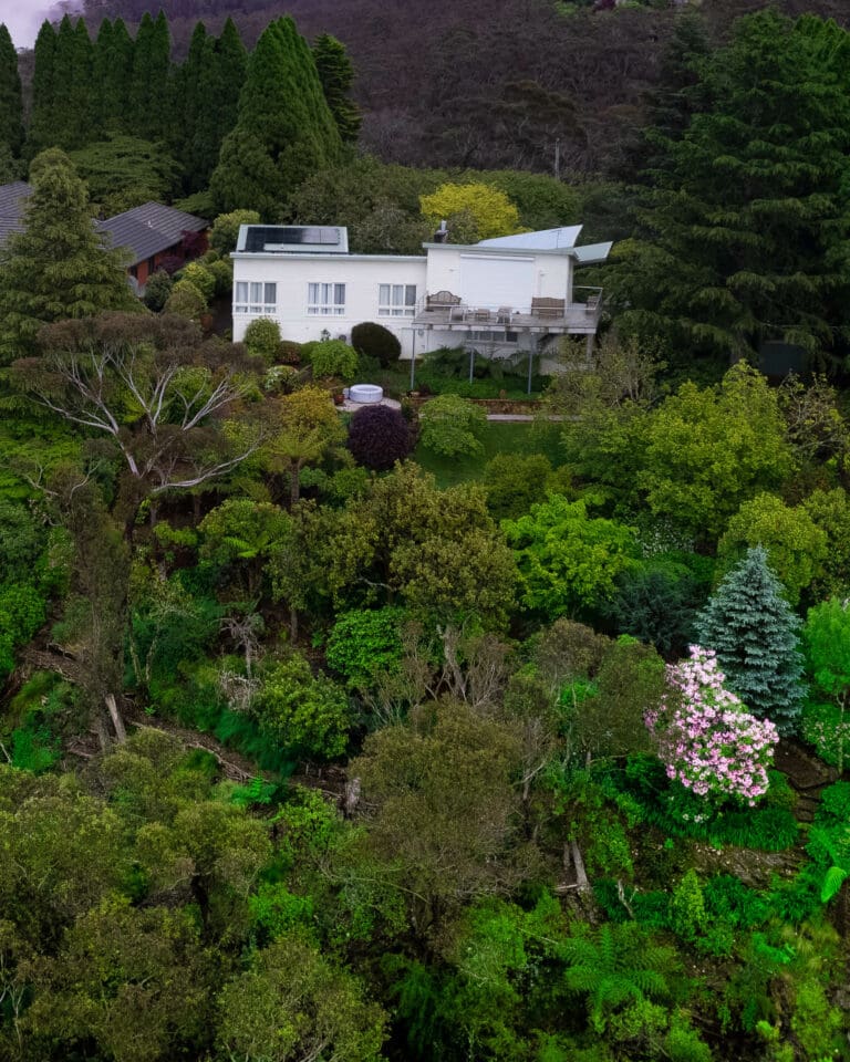 An aerial view of a house surrounded by trees.