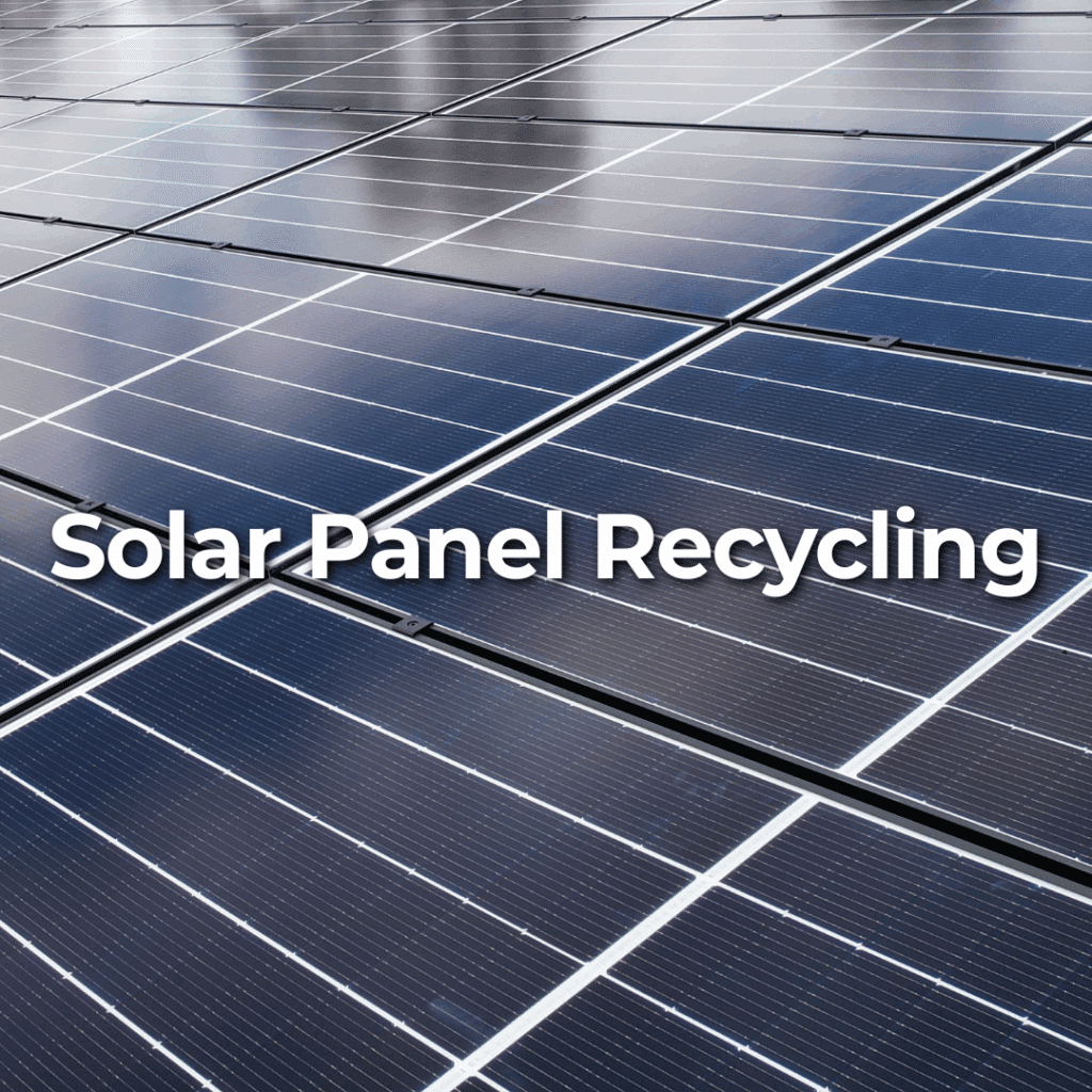 Rows of solar panels with the text "Solar Panel Recycling" overlaid in white font.