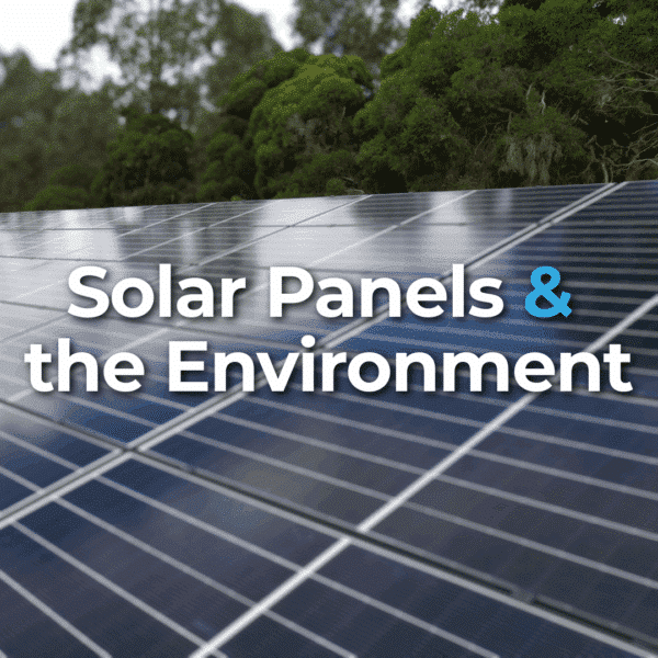 A large array of solar panels installed outdoors near green trees, with the text "Solar Panels & the Environment" overlaid on the image.
