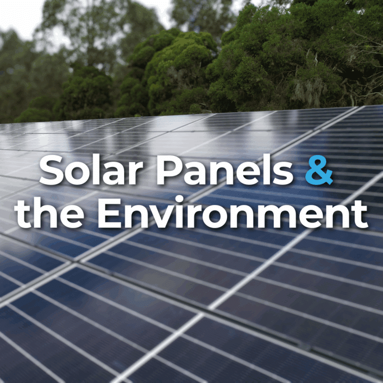 A large array of solar panels installed outdoors near green trees, with the text "Solar Panels & the Environment" overlaid on the image.